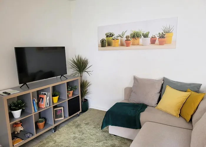 Apartament Familiar No Centro Historico - Afonso Henriques *